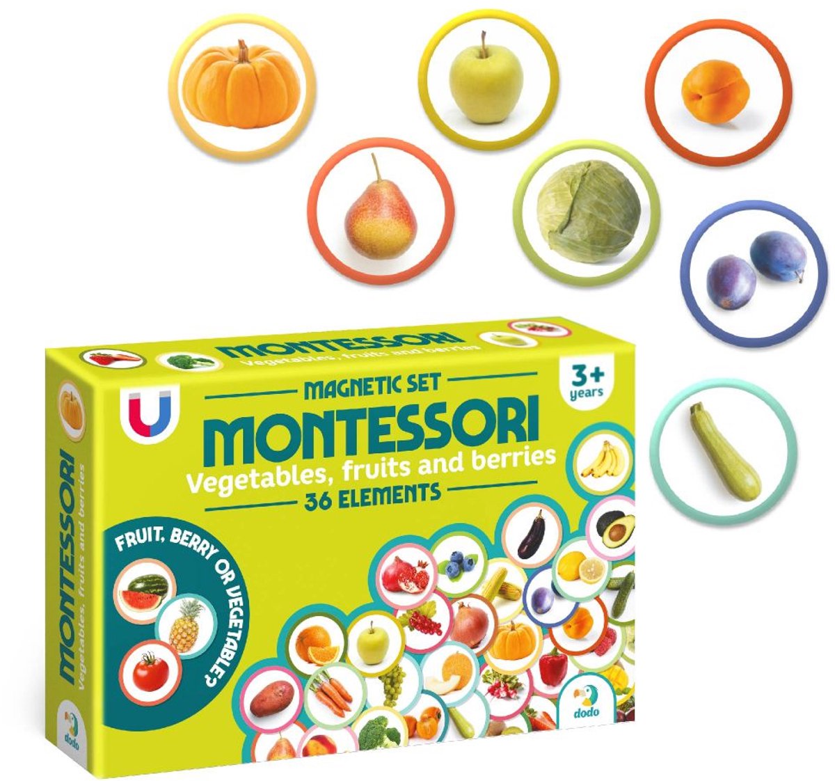 Montessori Magnetenset met 36 Magneten - Groenten en Fruit - Montessori Speelgoed 3+ - Magnetisch Speelgoed - Magneten Koelkast - Magneten Kinderen