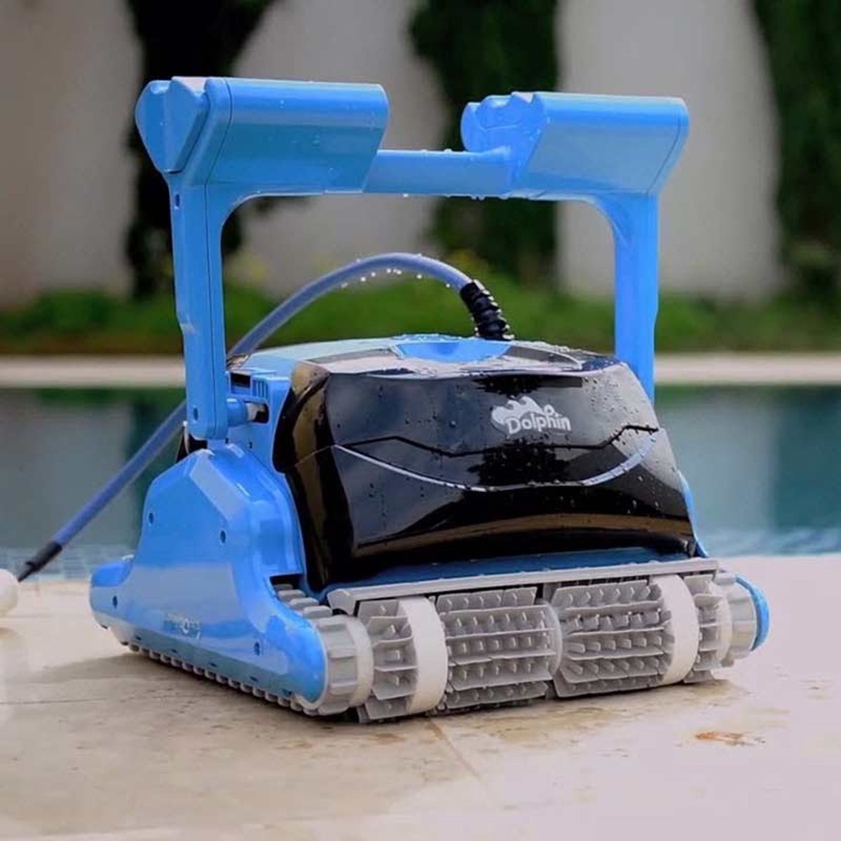 Dolphin F60 zwembadrobot - wand en bodemreiniger - volautomatisch - incl. programmas