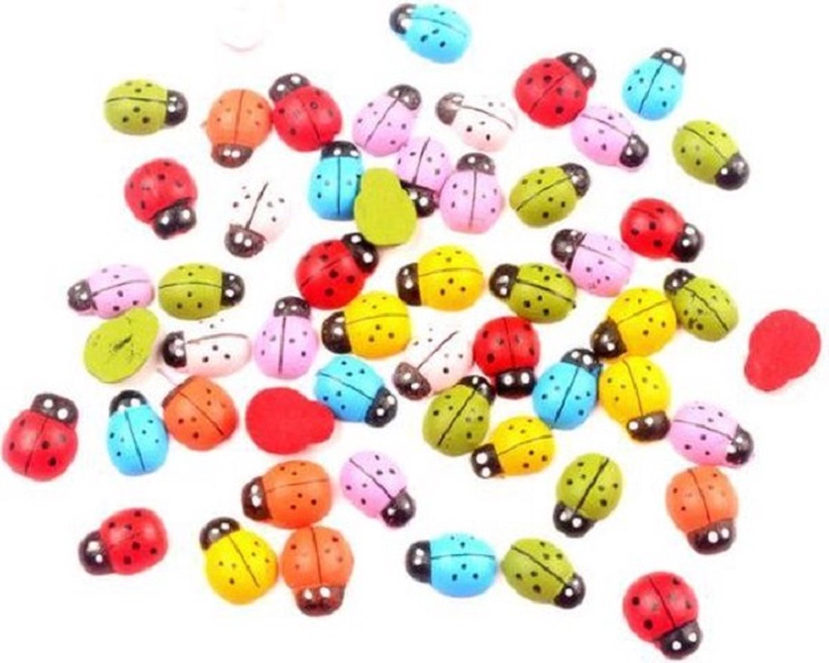 100x Houten Mini Lieveheersbeestje Knutselen & Plak Decoratie Regenboog Kleur