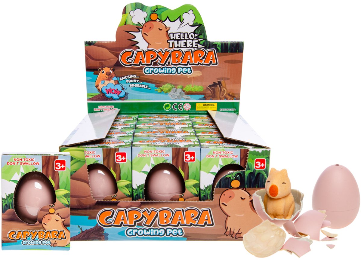 Duckiez growing Ei capybara - 1 stuk