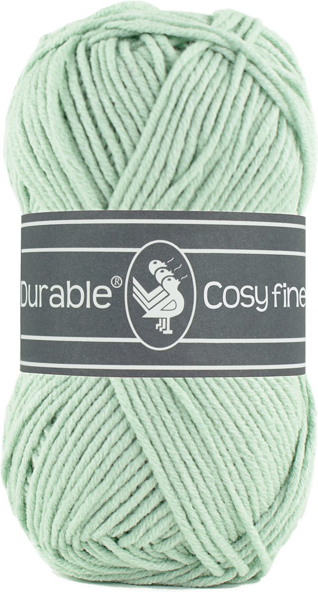 Durable Cosy Fine, Mint, 5 bollen