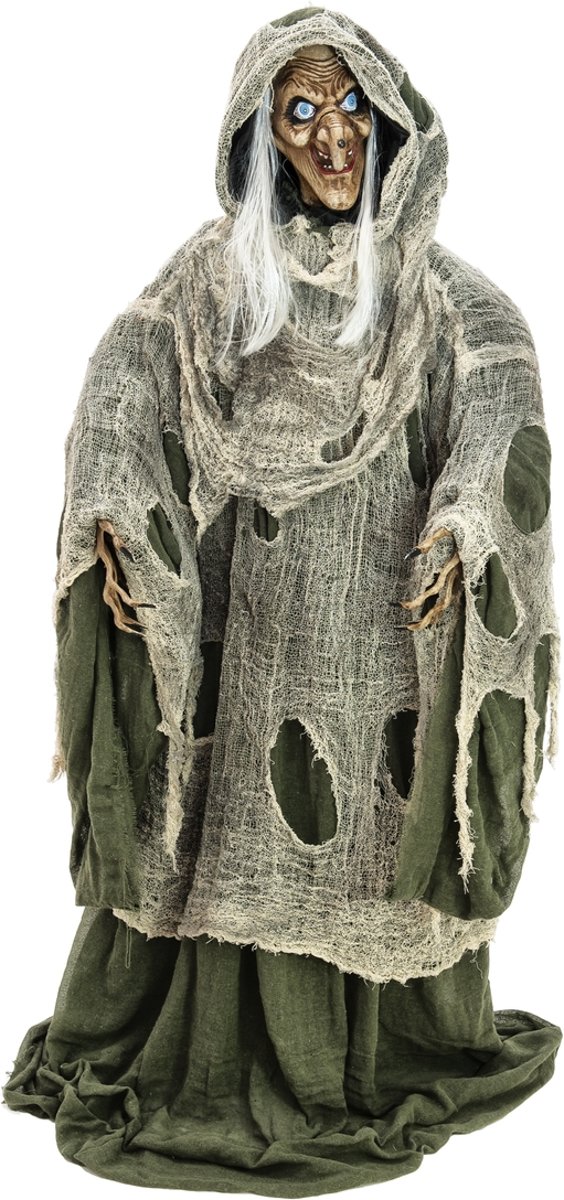 Europalms Halloween Heks, groen, 145x70x66cm