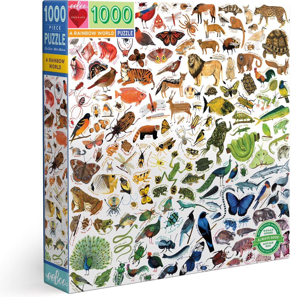 A Rainbow World (1000)