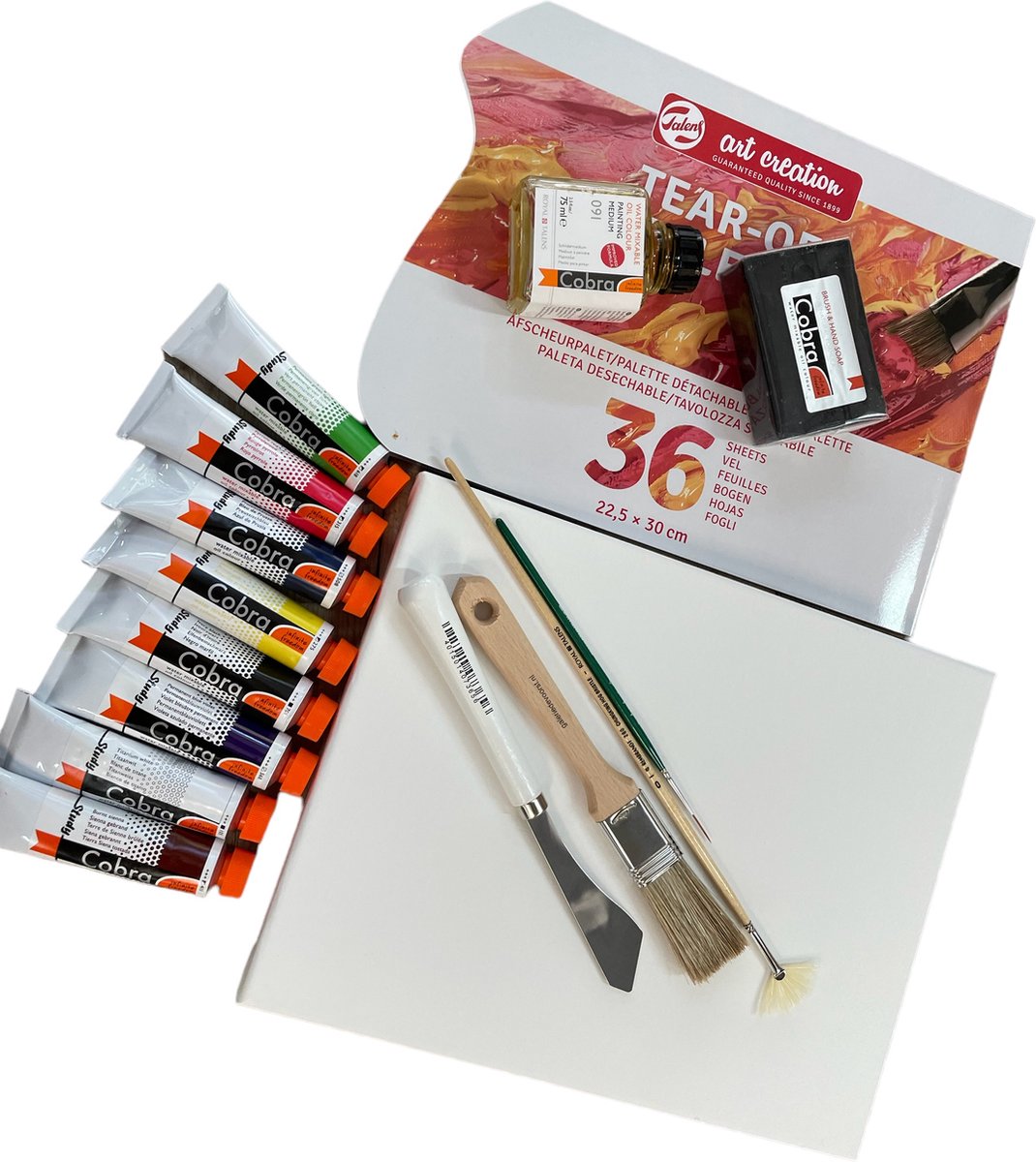Starter set voor de Bob Ross techniek met Cobra olieverf