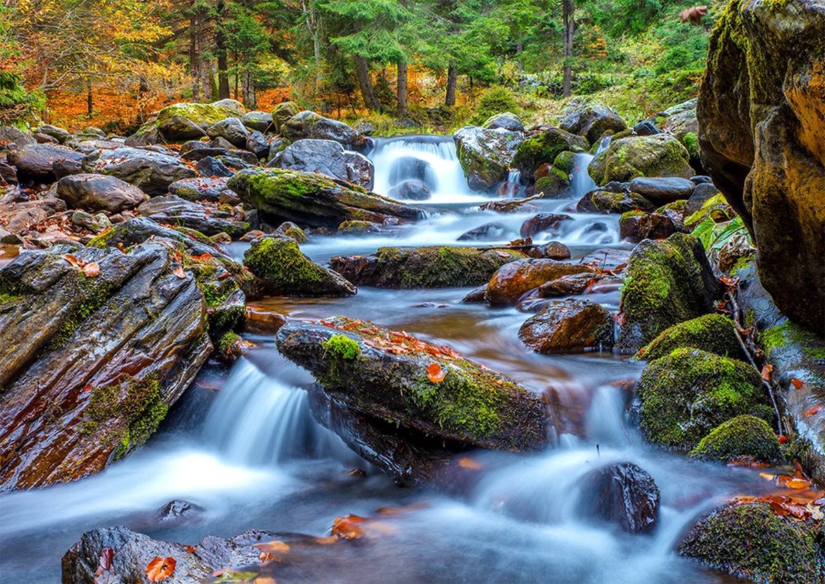 Enjoy Puzzle legpuzzel Forest Stream in Autumn - 1000 stukjes puzzel.