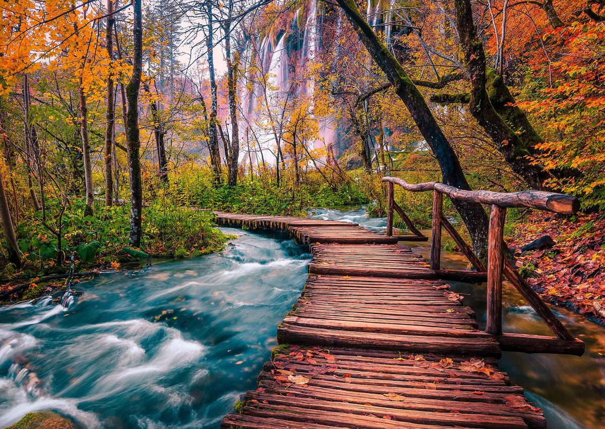 Enjoy puzzel Forest Stream in Plitvice, Croatia - 1000 stukjes.