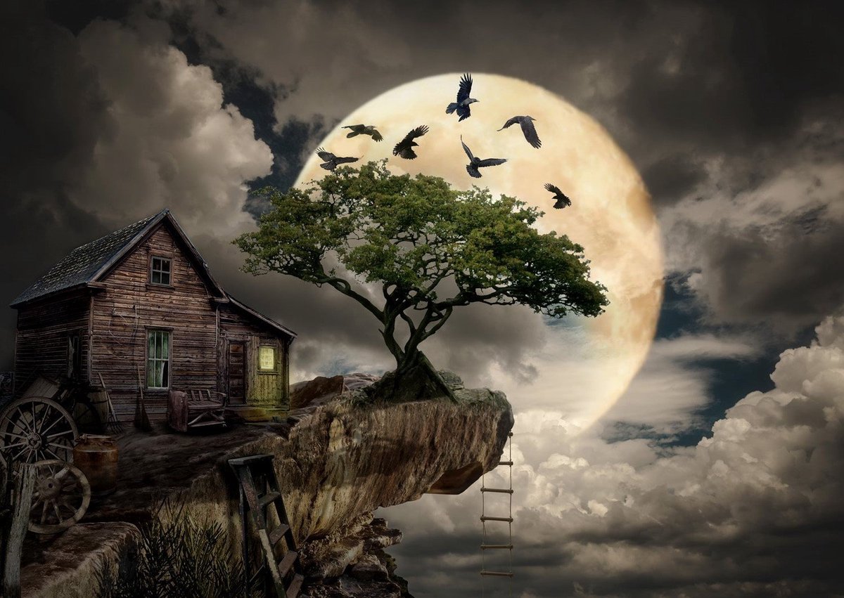 A Log Cabin on a Cliff Puzzel 1000 Stukjes