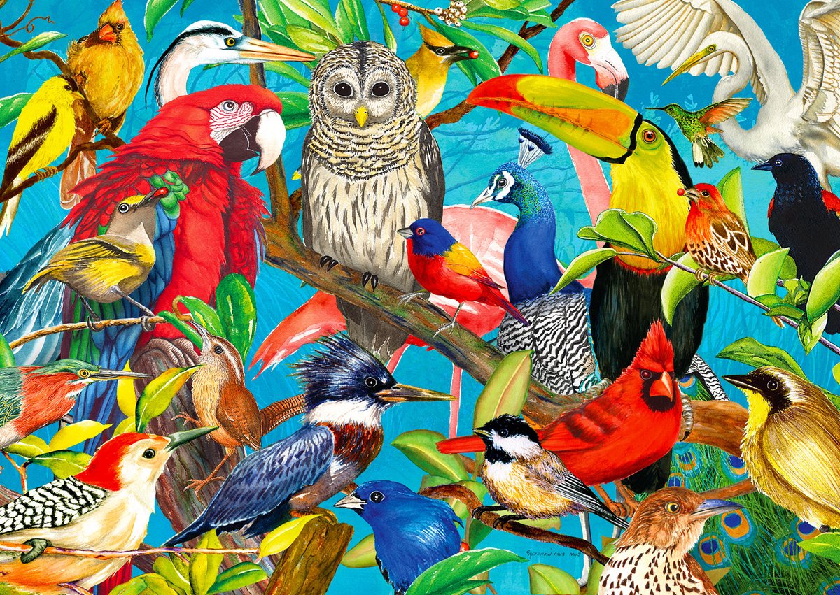 Feathered Frenzy Puzzel 1000 Stukjes