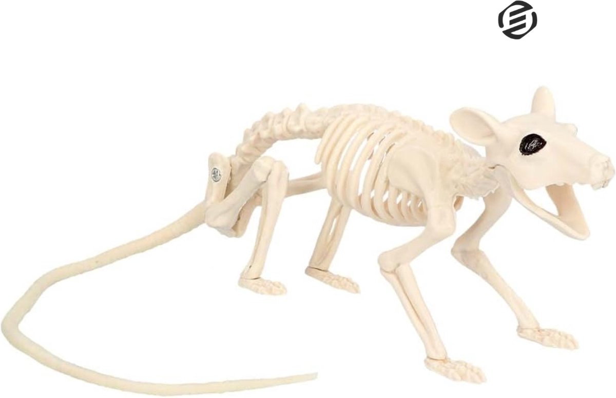 Equivera Halloween Decoratie - Halloween Versiering - Horror Versiering - voor Binnen en Buiten - Spin, Heks, Skelet, Pompoen en Spoken - 2024