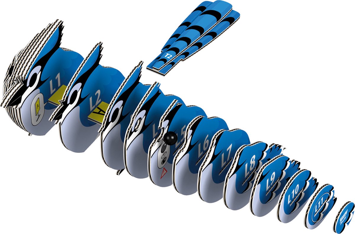 EUGY 3D - Blauwe Gaai