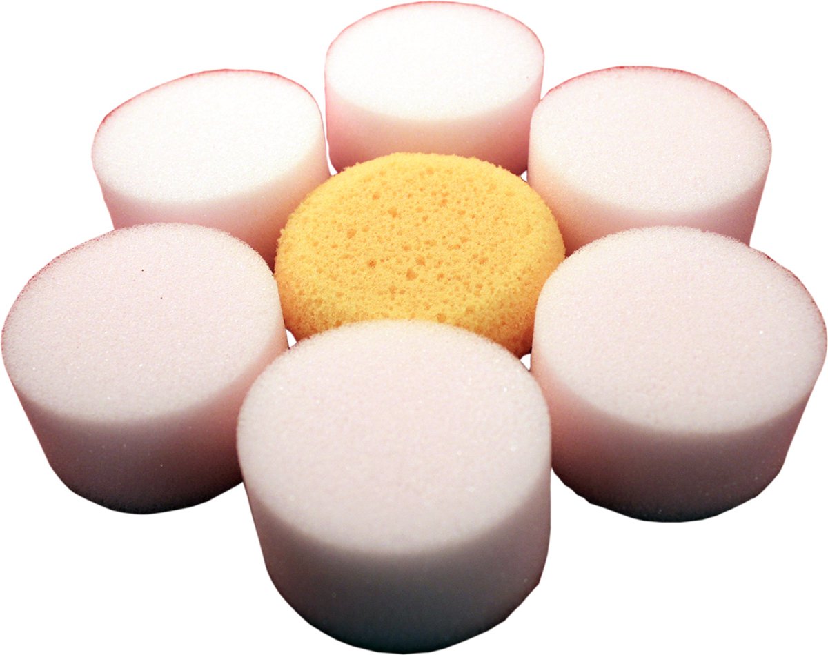 Schmink Spons Setje - Sponzen Set Bloem - Sponsbloem 7 stuks