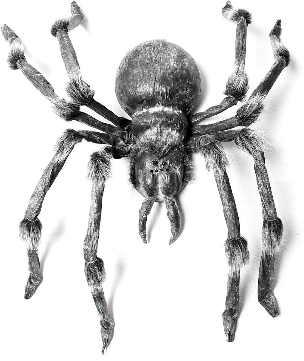 Monsterspider, monsterspin130cm