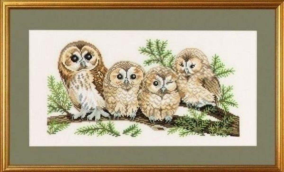 Eva Rosenstand borduurpakket uilen 94-146 aida