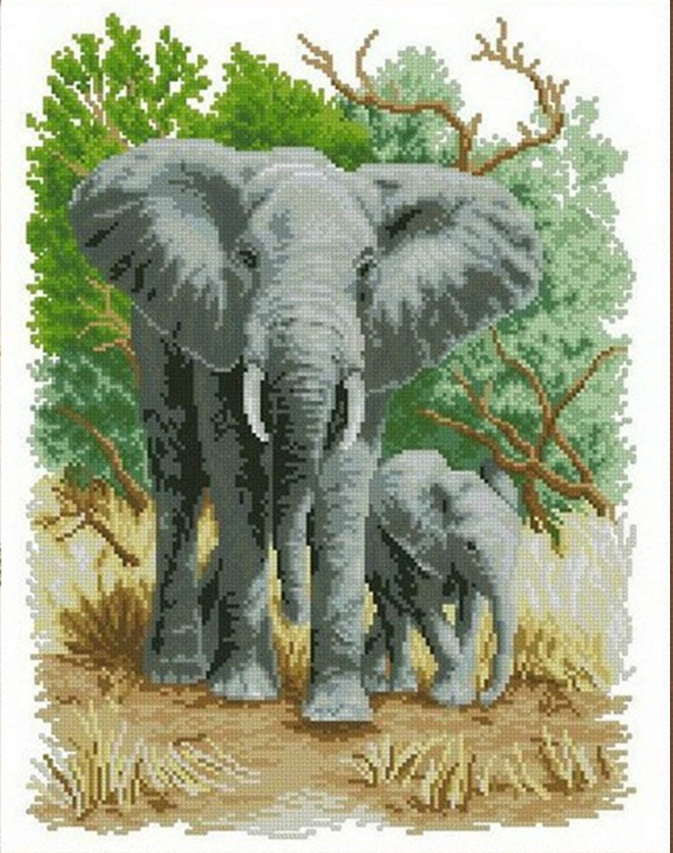 Borduurpakket Olifant (56 x 45 cm)