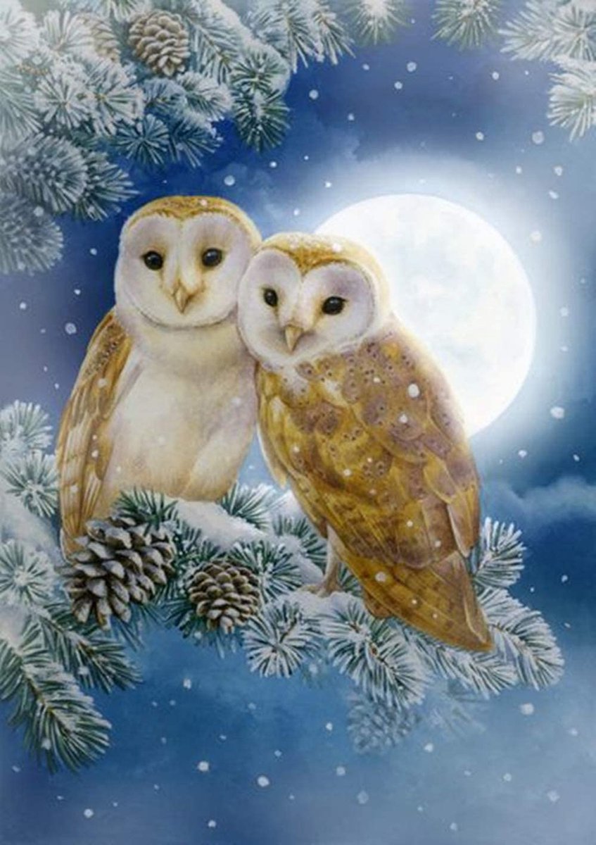 DIAMOND PAINTING Uil (30 X 40 CM)