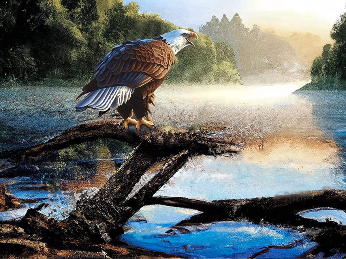 DIAMOND PAINTING Volgel (40 X 50 CM)