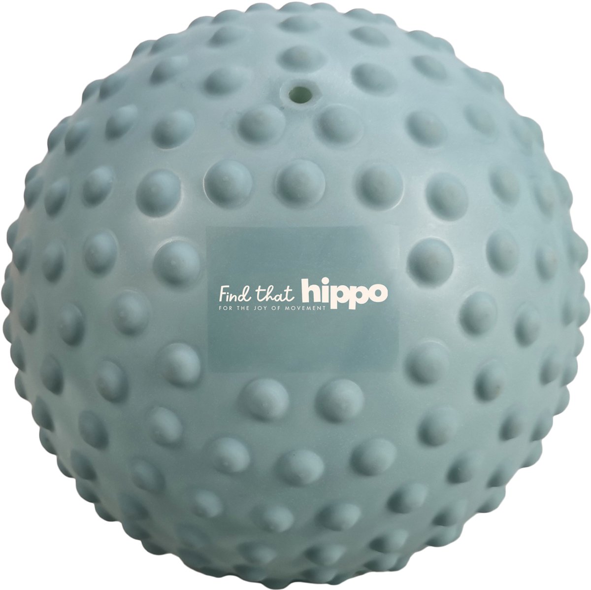 Find that Hippo: SENSORY BALL Large / LOODBLAUW diam.22cm, in doos, 6m+