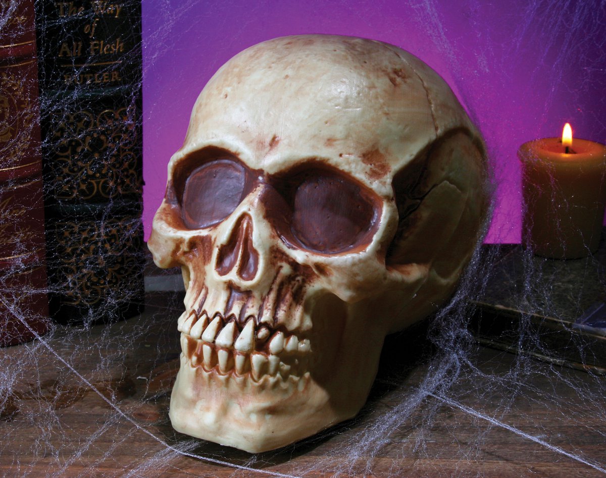 Fun World Schedel Decoratie Halloween Schedel Skull Skelet Halloween Decoratie Halloween Skelet Decoratie - Beige - 20 cm