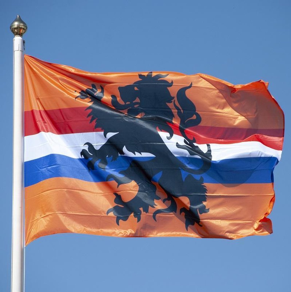 Vlag oranje + Leeuw 150×225 cm
