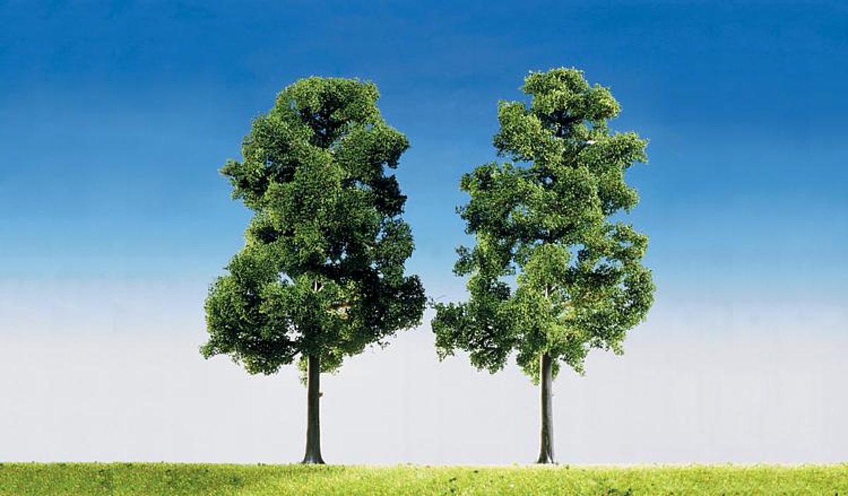   -2 Beuken Top serie (181364)