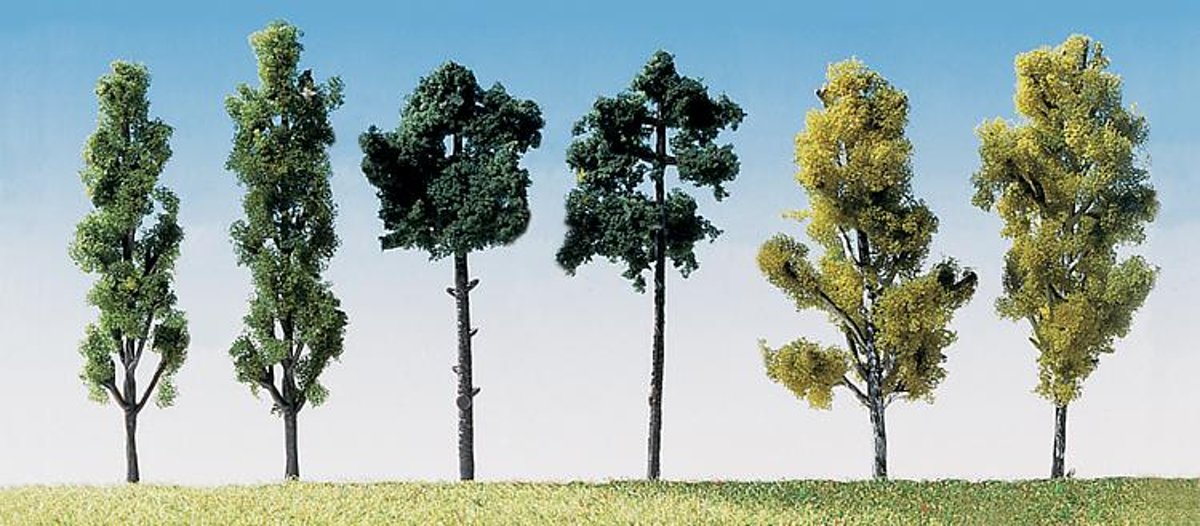   -6 Bomen gesorteerd (181488)