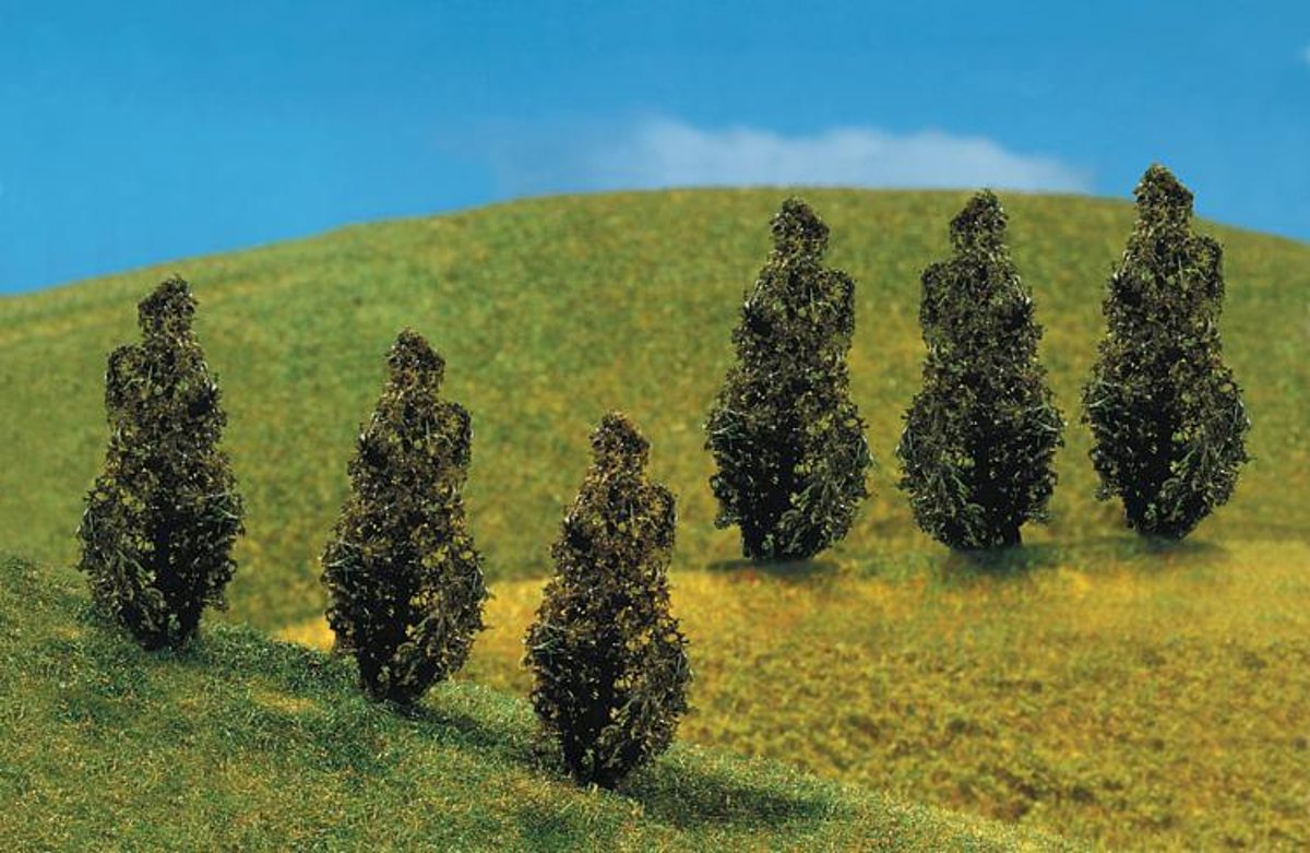   -6 PREMIUM Thuja (levensboom) (181229)