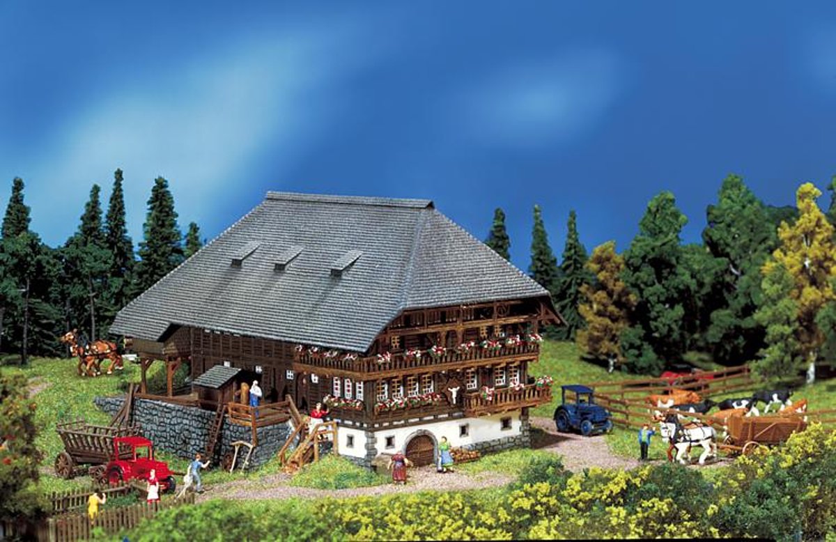   -Zwarte Woud boerderij (232258)
