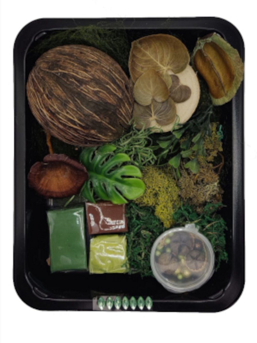 Fantasyatelier - Doe het zelf knutsel pakket - Bonenstaak DIY