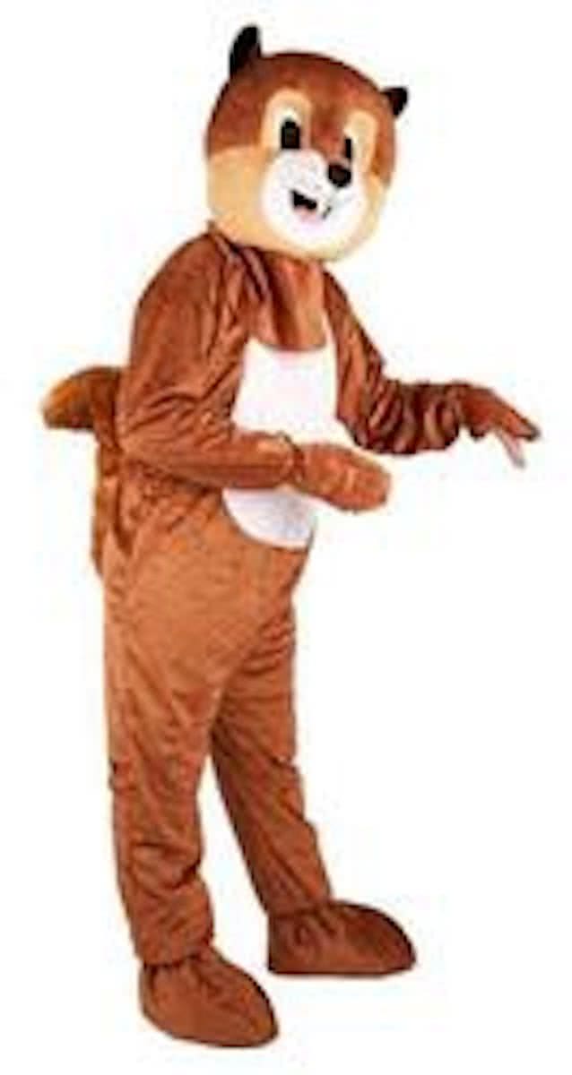 Kostuum Plushe Eekhoorn Giant