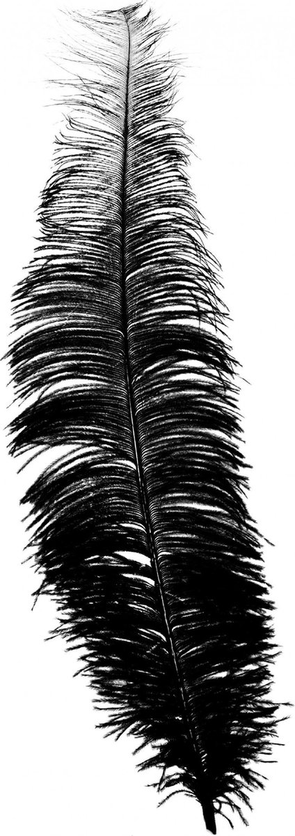 Fiestas Guirca Hoofdband Struisvogel Veren 40 Cm Zwart