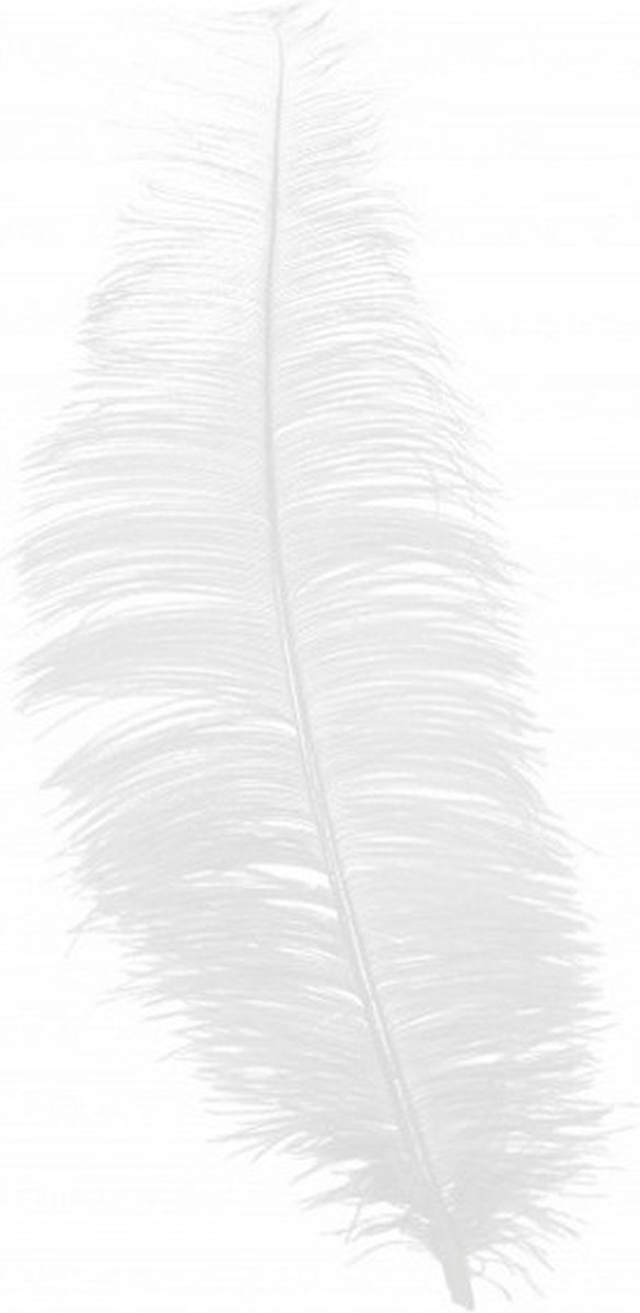 hoofdband struisvogel veren 30 cm wit