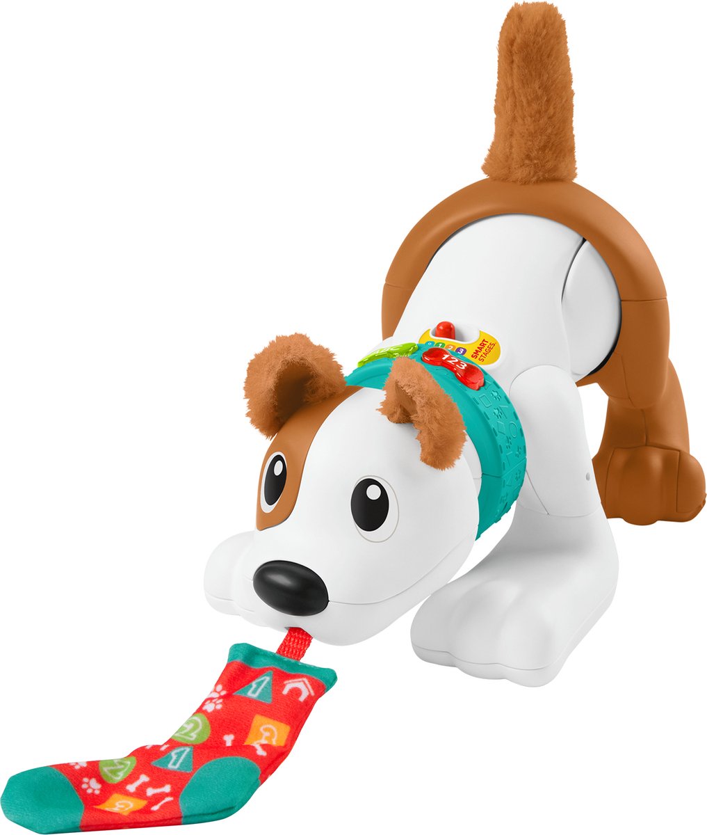 Fisher-Price Sleep de puppy - Babyspeelgoed met Licht en Geluid
