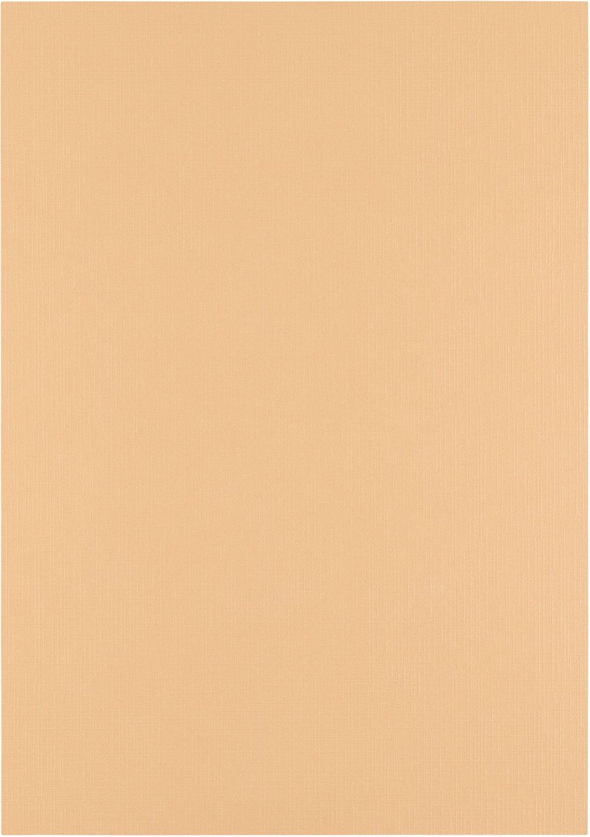 Florence Cardstock Linnenkarton - Parchment (Beige) - Gekleurd Papier - A4 - 100 vellen - Textuur - 250 g