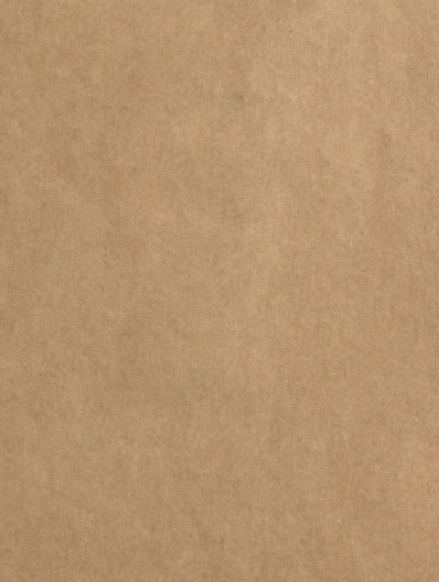Florence Kraftkarton - Gekleurd Karton - Bruin - A4 - 50 vellen - 2 mm dik