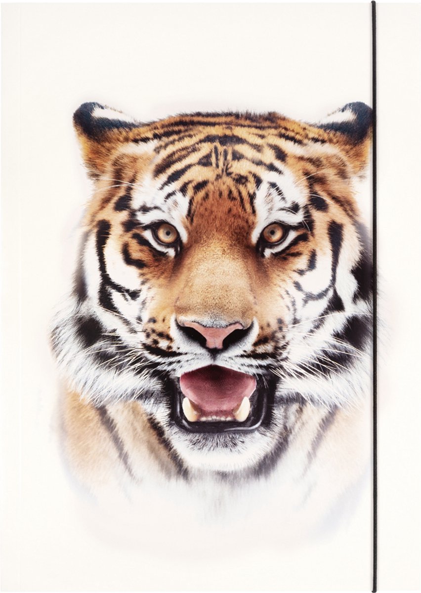 folia tekeningenmap BASIC Jungle Cuties, karton, DIN A3