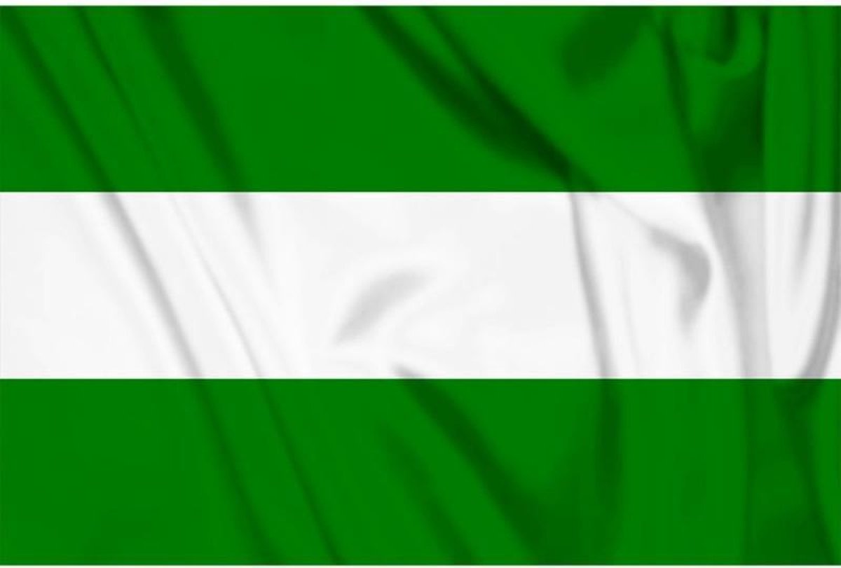 Vlag Rotterdam zonder wapen, Rotterdamse vlag