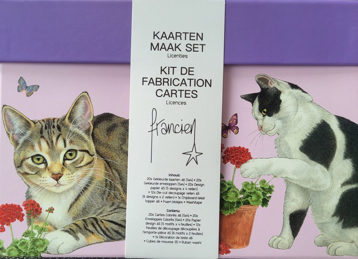 Kaarten maak set katten van Francien - 20 kaarten om zelf te maken met enveloppen - 6 verschillende designs - met foam en washitape