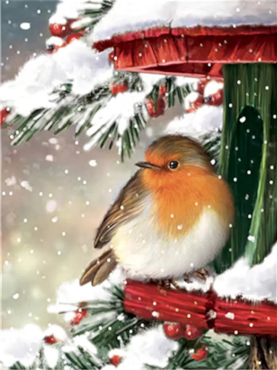 Diamond painting Winter vogels 30x40cm vierkante steentjes