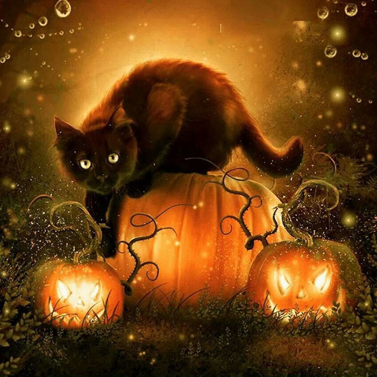 Diamond painting halloween zwarte kat 30x40cm vierkante steentjes