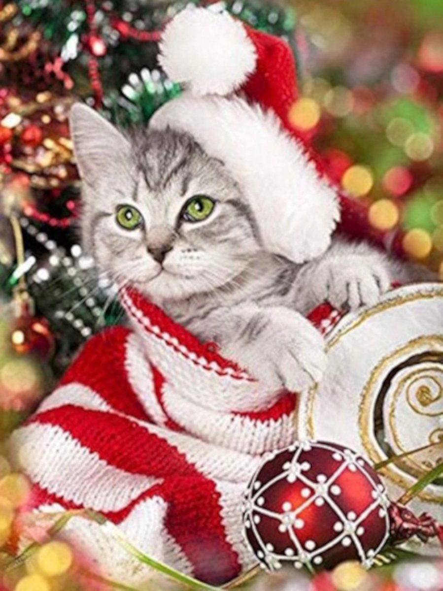 Diamond painting kerst kat kerstboom 30x40cm vierkante steentjes