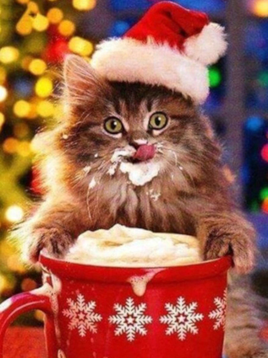 Diamond painting kerst kitten slagroom 30x40cm vierkante steentjes