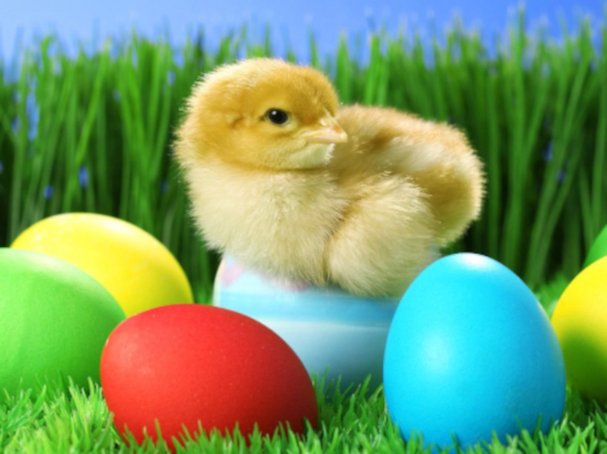 Diamond painting pasen paasei kuiken 30x40cm vierkante steentjes