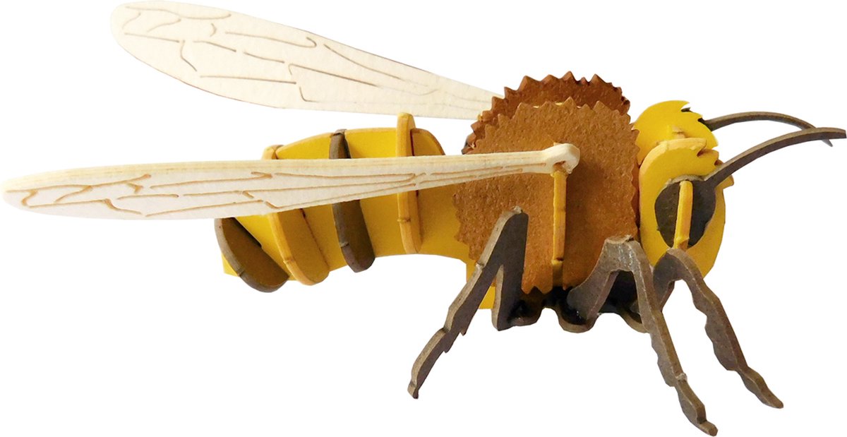 FRIDOLIN 3D Papieren Model - Bij.