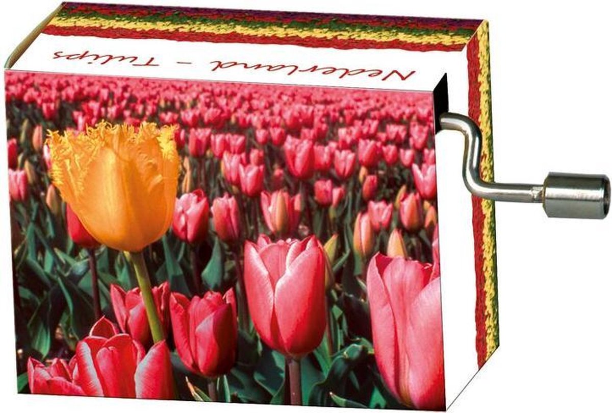 Muziekdoosje Holland tulpen melodie Spring van Vivaldi