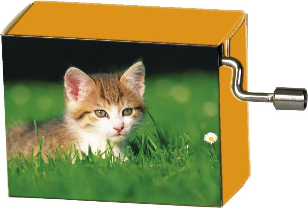 Speeldoosje dieren kitten in het gras met melodie LaLeLu