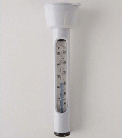Fun & Feest Zwembad Water thermometer