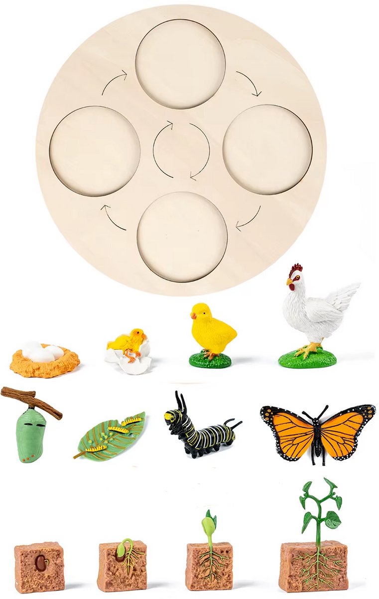 Houten cyclus bord - levenscyclus van een kip, vlinder en plant - Educatief montessori speelgoed - Biologie - Natuuronderwijs - Ontwikkeling van dieren en planten - Groei van dieren