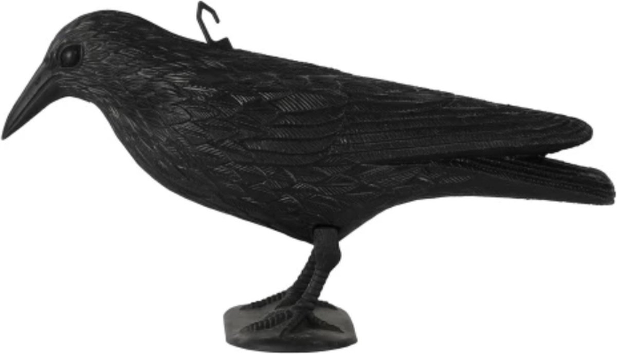 Kraai 36cm - Zwart - N.v.t.