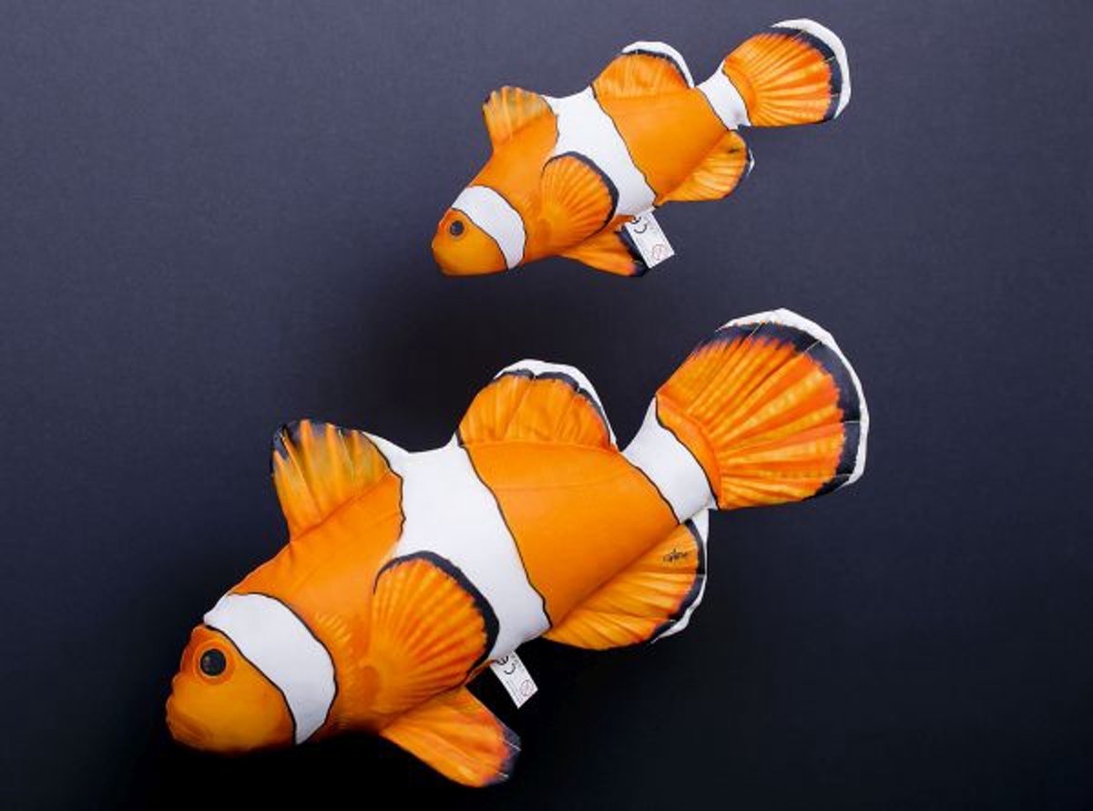 Anemoonvis (Clownfish) Kussen