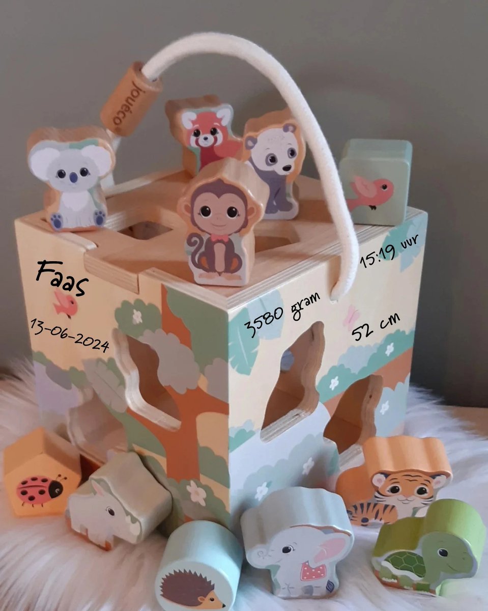 Houten grote vormenstoof Wildest Family (met naam)